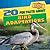 20 Fun Facts about Bird Adaptations (Fun Fact File: Animal Adaptations)