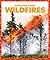 Wildfires (Disaster Zone)