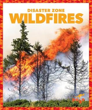 Wildfires (Disaster Zone)
