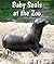 Baby Seals at the Zoo (All About Baby Zoo Animals)