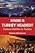 Where is Turkey Headed? by Rainer Hermann