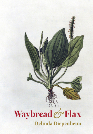 Waybread and Flax