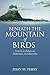 Beneath The Mountain Of Birds