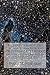 Distant Starlight and the A...