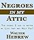Negroes in my Attic: Ten things I did to better my Life that may Help You!