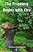 The Prophecy Begins With Fire (Princess of Prophecy Series Book 1)