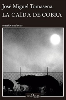 La caída de Cobra (Kindle Edition)