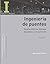 Ingeniería de puentes: Tomo I: Reseña histórica, tipología, diagnóstico y recuperación. Tomo II: Colapso, inspección especial, socavación, vulnerabilidad sísmica y capacidad de carga (Spanish Edition)
