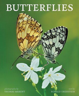 Butterflies (Hardcover)