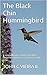 The Black Chinned Hummingbird