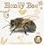 Life Cycle of a Honey Bee