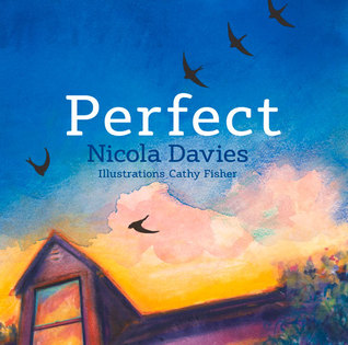Perfect (Hardcover)