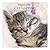 Cat Napping: A Cat's Guide ...
