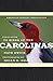 American Birding Associatio...