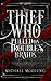 The Thief Who Pulled on Trouble's Braids (Amra Thetys, #1)
