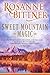 Sweet Mountain Magic by Rosanne Bittner