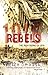 Rebels : the Irish Rising of 1916