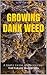 Marijuana: How to Grow Marijuana - A Simple Guide to GROWING DANK WEED: Indoor and Outdoor (Medical Marijuana, Cannabis, Marijuana Growing, Marijuana Grower's Bible)