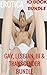 EROTICA: GAY, LESBIAN, BISEXUAL AND TRANSGENDER BUNDLE (HOT SHORT STORIES, GAY, LESBIAN AND TRANSGENDER COLLECTION)