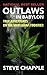 OUTLAWS IN BABYLON: THE ORIGIN STORY OF AMERICAN CANNABIS