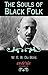 The Souls of Black Folk by W.E.B. Du Bois