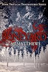 Boneyard by Cal Matthews