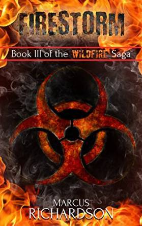 Firestorm (Wildfire #3)