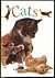 Cats by Sarah Allen