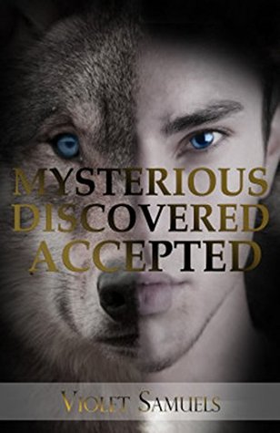 Mysterious, Discovered, Accepted (Nightfall Book 3)