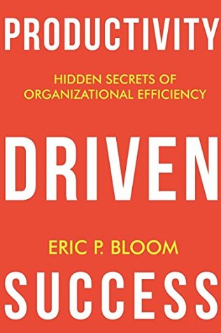 Productivity Driven Success (Kindle Edition)