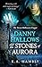 Danny Hallows and The Stones of Aurora by K.A. Hambly