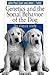 Genetics and the Social Behavior of the Dog