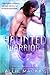 Haunted Warrior (Highlander Ghostbuster Series Book 1)