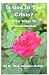 Is God In The Crisis?: From...