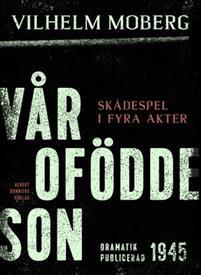 Vår ofödde son (ebook)