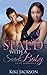 Surprise Baby Romance (Military Romance Pregnancy Romance) 5: Seal’d With A Secret Baby (Surprise Baby Romance Seal Romance Short Stories)