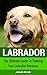 Labrador: The Ultimate Guid...