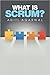 What is Scrum?