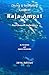 Diving & Snorkeling Guide to Raja Ampat & Northeast Indonesia 2016