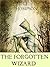 The Forgotten Wizard (The Forgotten Wizard, #2)