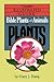 Bible Plants and Animals, V...