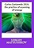 Carlos Castaneda 2016: the practice of scanning of energy