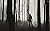 The Altered: Subsist