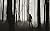 The Altered: Subsist