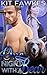 One Night With A Bear by Kit Fawkes