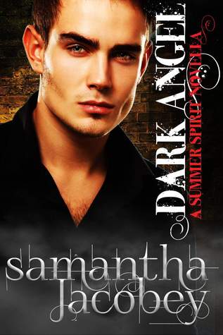 Dark Angel (A Summer Spirit Novellas, #2)