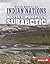 Native Peoples of the Subarctic (North American Indian Nations)