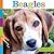 Beagles (Seedlings)
