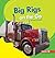 Big Rigs on the Go (Bumba Books ® ― Machines That Go)