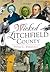 Wicked Litchfield County by Peter C Vermilyea